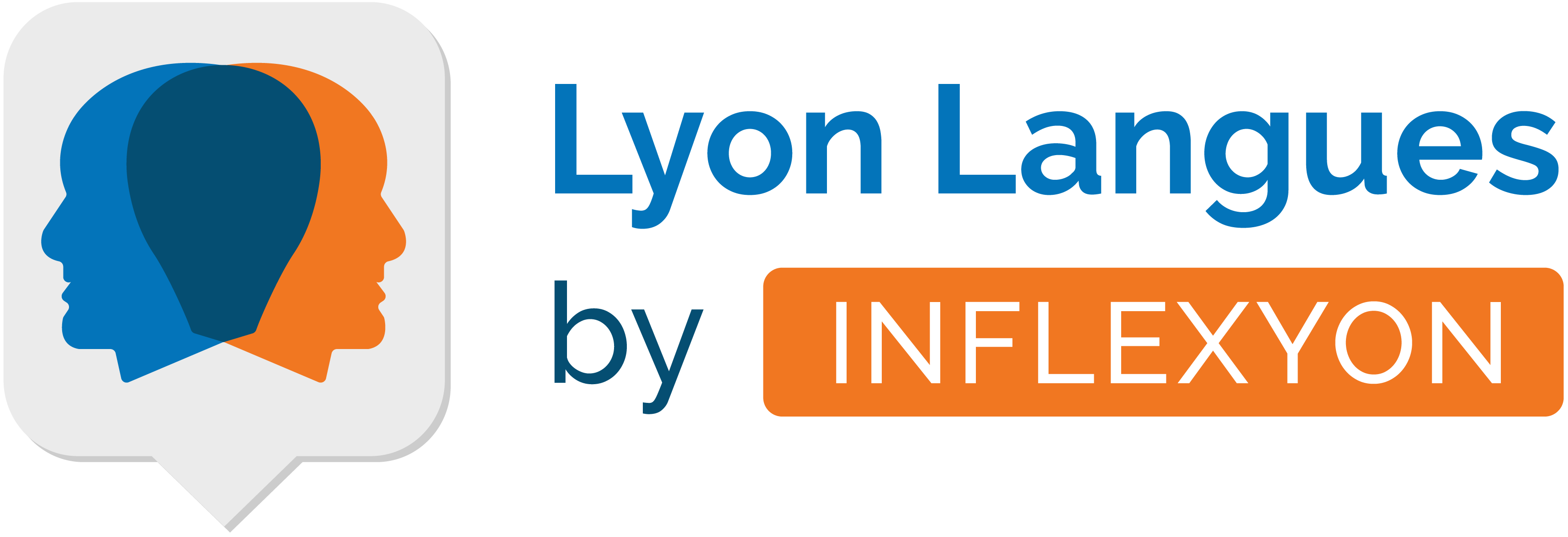 Logo Lyon Langues